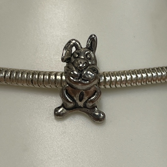 💕 3/$10 Bunny Rabbit Sliding Charm - Picture 1 of 3